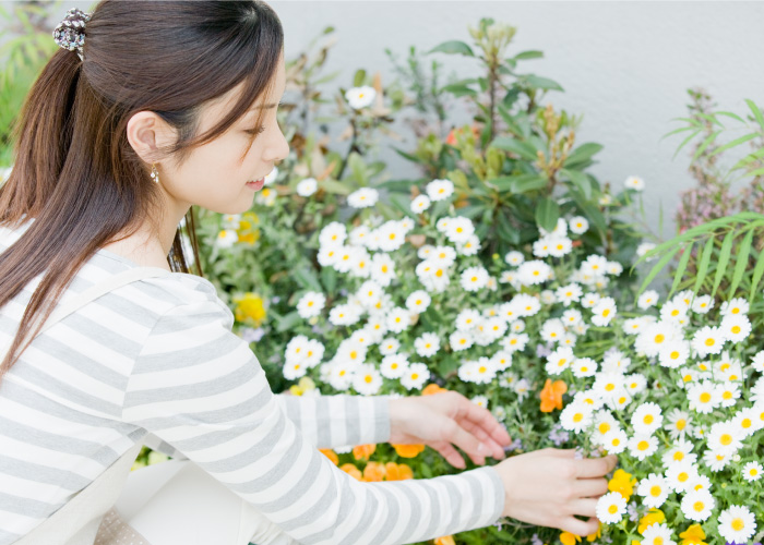 理想の庭づくりと維持管理の考え方