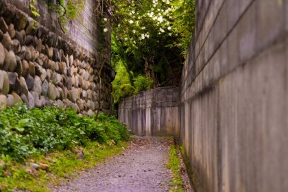 泥棒に狙われやすい道路環境とは？