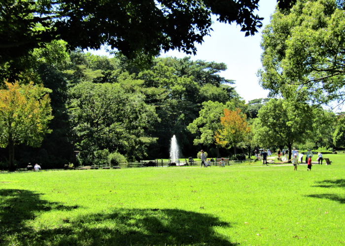 整備された公園が近くにある土地は気の流れが良い