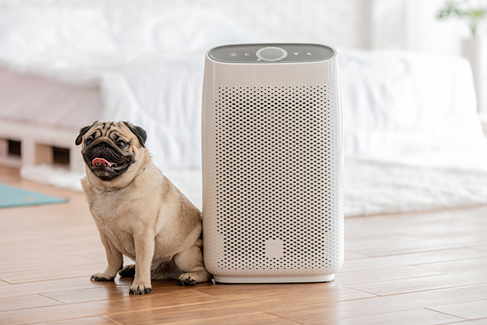 ペットを飼っているご家庭にピッタリ! プロがオススメする「空気清浄機」と「除菌脱臭機」