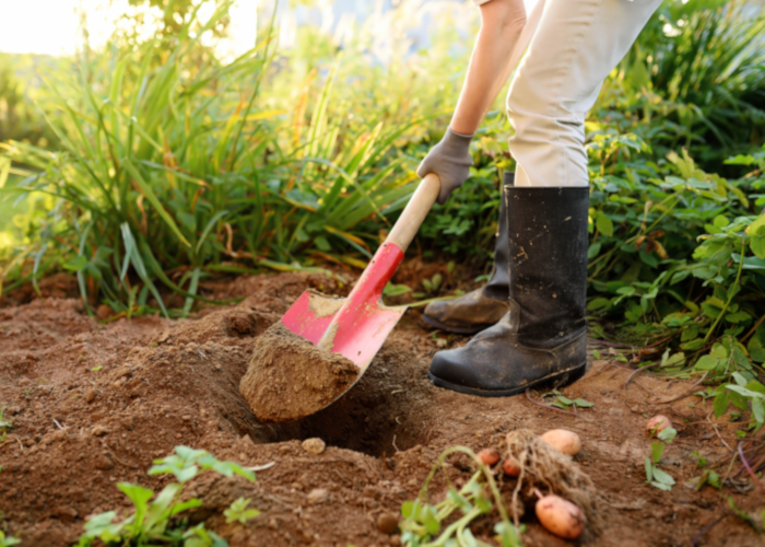 地植えに必要な道具 スコップ