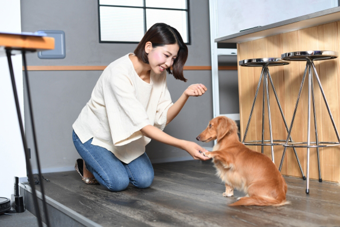 お行儀の良いお利口な犬・猫になってもらう「しつけトレーニング」の仕方