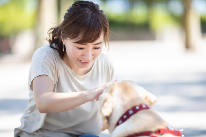 ペットにはGoodは思いっきり褒めて、Noはすぐに伝える