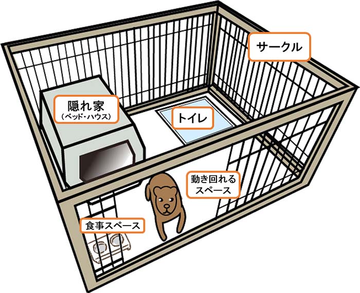 犬にとっての緩衝空間は「サークルの中」