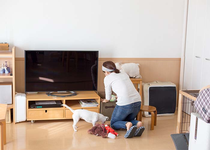 犬と暮らす住まいの工夫②収納スペースを確保