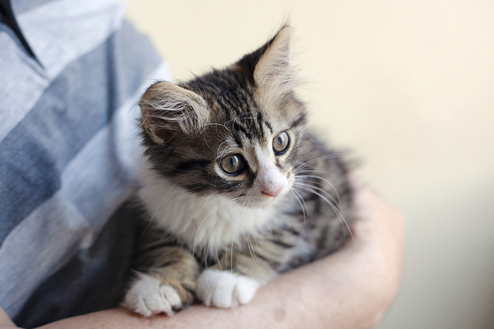 室内飼育をするうえで大切な「三楽暮」の考え方とは?